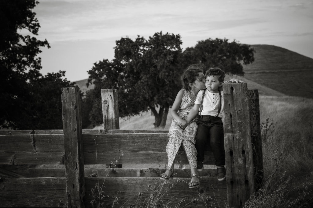 Brother and sister sit on old wooden fence and sister kisses brother on the cheek as he looks into camera during family photo session